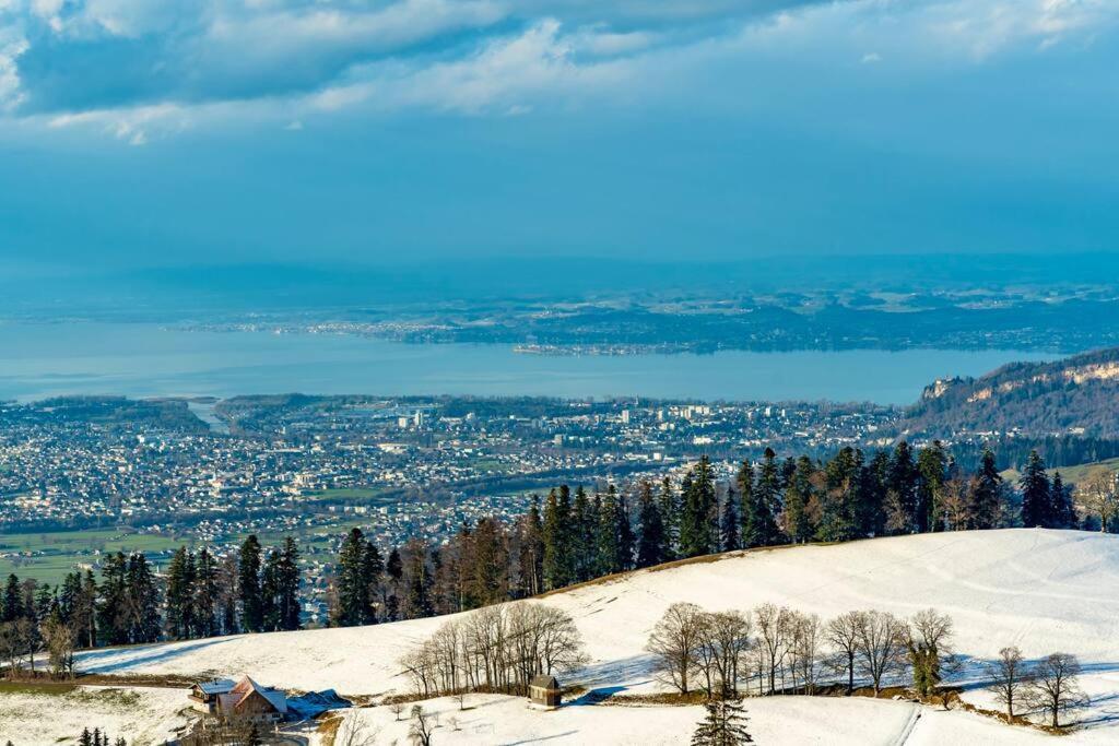Seeparkvilla - Wohlfuehlen Am See Und Im Gruenen Брегенц Екстериор снимка
